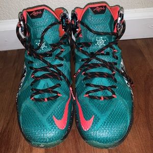 Lebron 12 Xmas Akron birch size 11